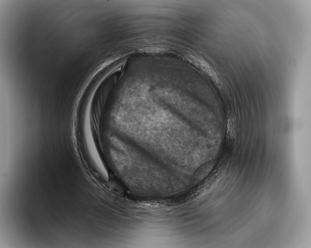 X0000095940724200802011041