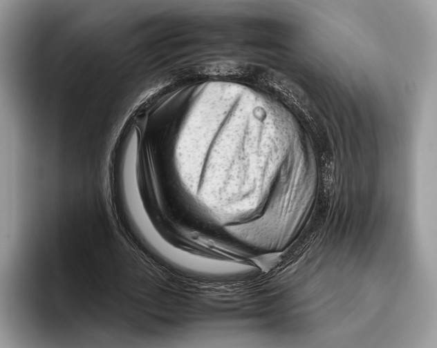 X0000095940727200802011041