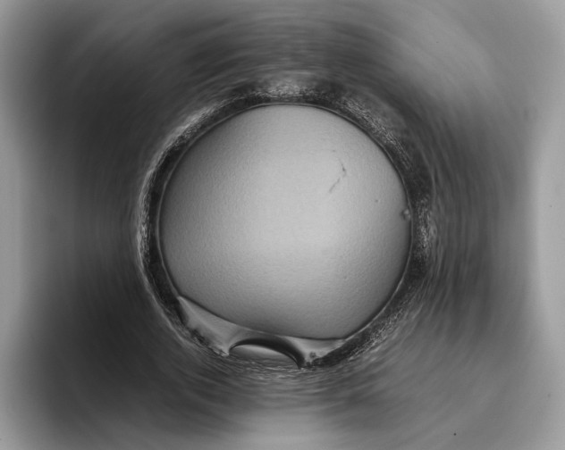 X0000095940728200802011041