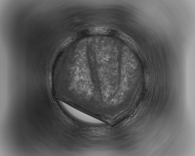 X0000095940729200802011041