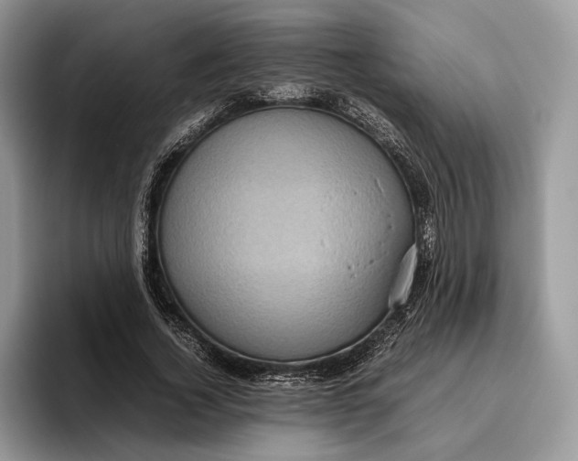 X0000095940732200802011041