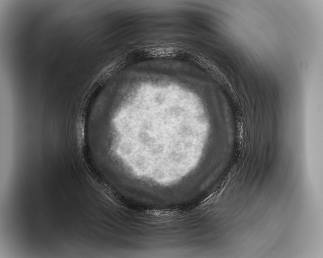 X0000095940733200802011041