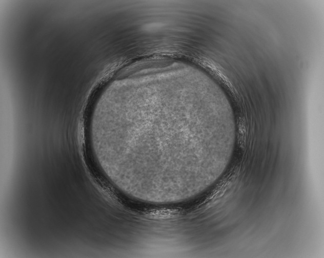 X0000095940734200802011041