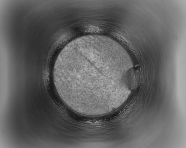 X0000095940735200802011041