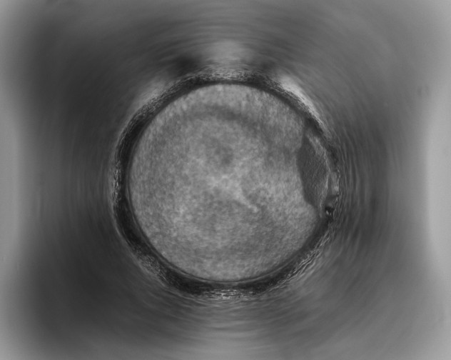 X0000095940736200802011041