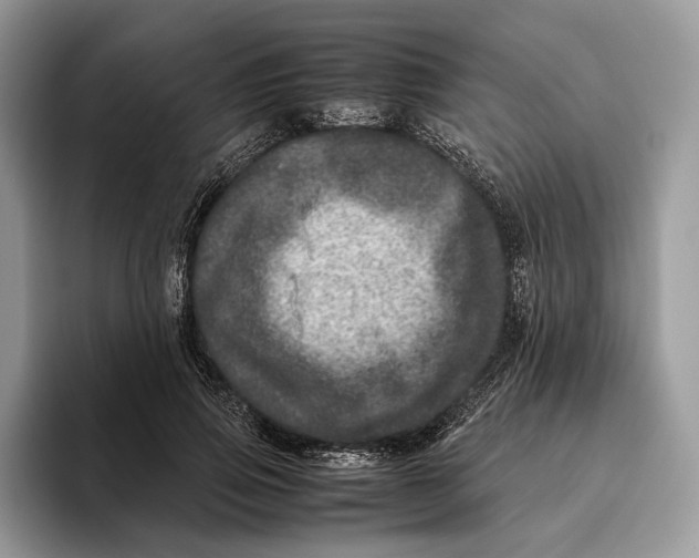 X0000095940741200802011041