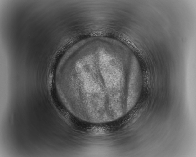 X0000095940742200802011041