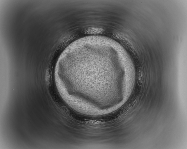 X0000095940743200802011041