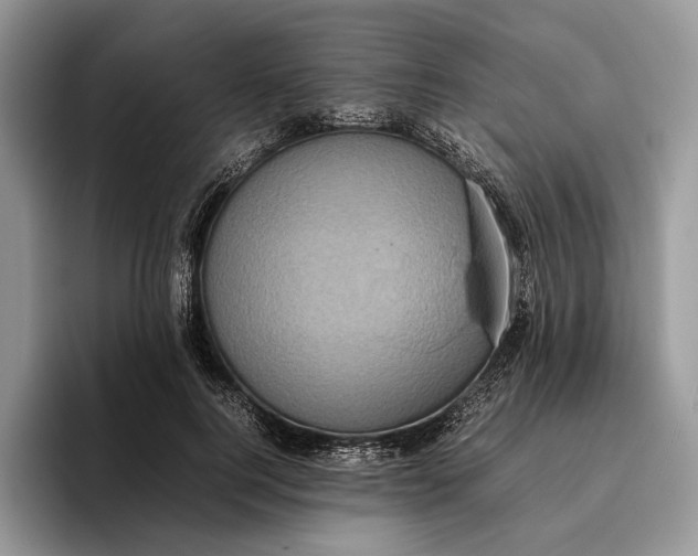 X0000095940744200802011041