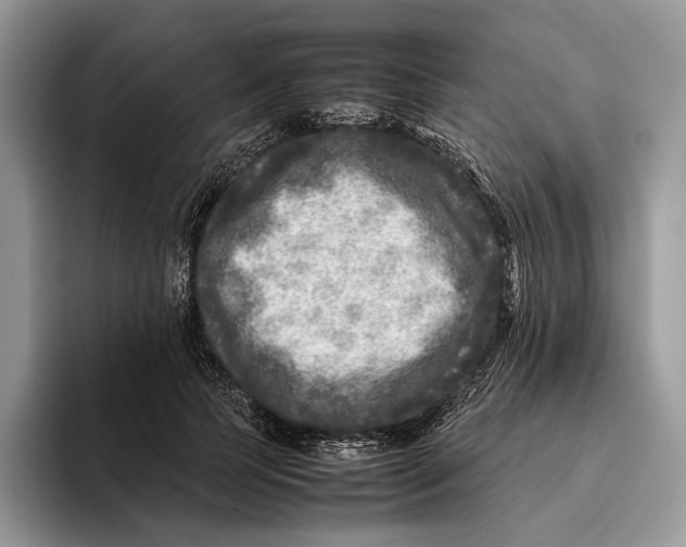 X0000095940745200802011041