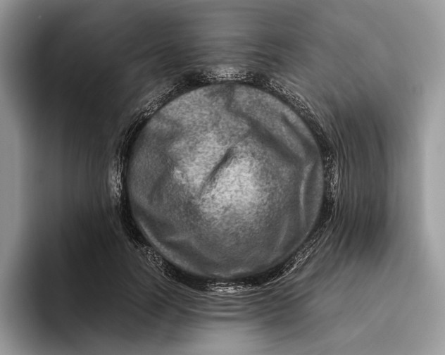 X0000095940746200802011041