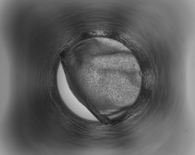 X0000095940747200802011041