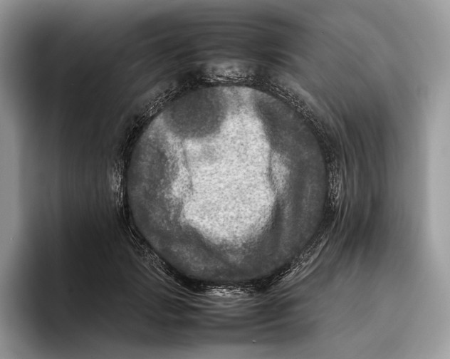 X0000095940749200802011041