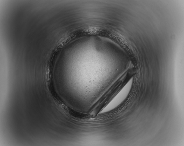 X0000095940750200802011041