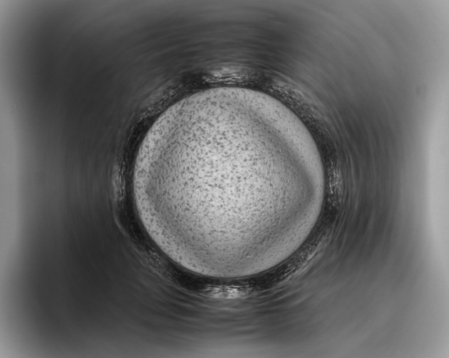 X0000095940751200802011041