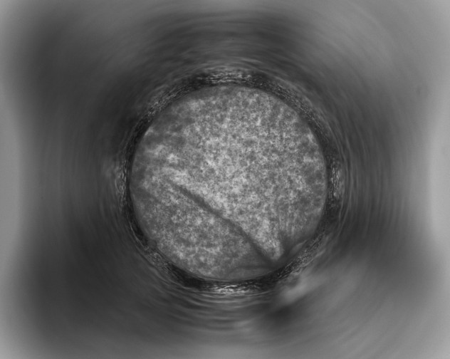 X0000095940753200802011041