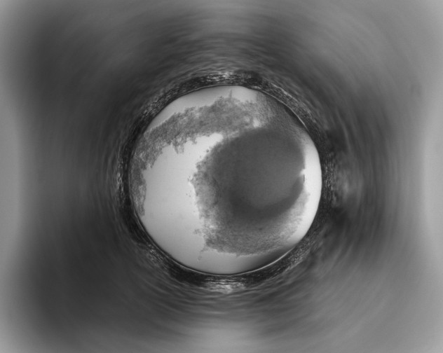 X0000095940754200802011041