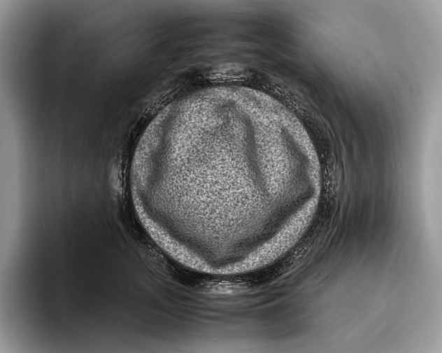 X0000095940755200802011041