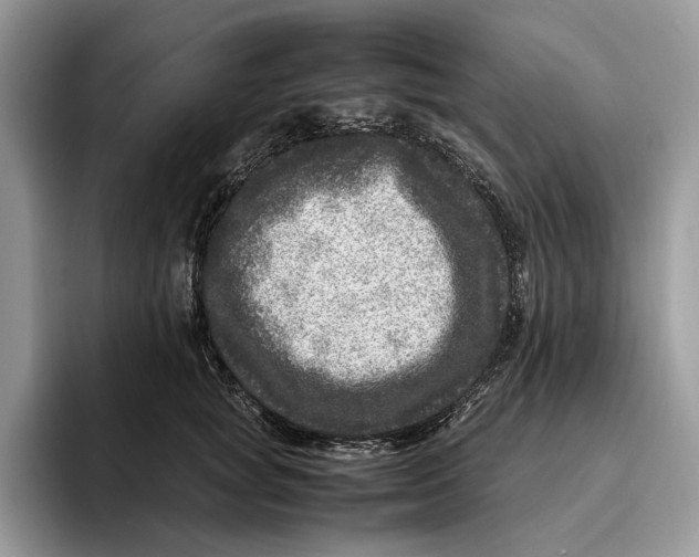 X0000095940757200802011041