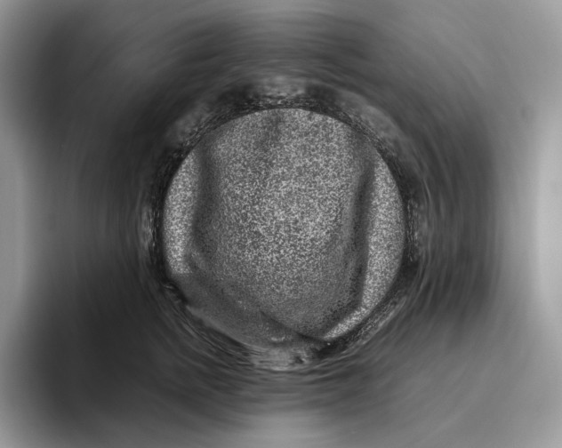 X0000095940758200802011041