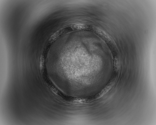 X0000095940760200802011041