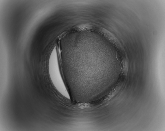 X0000095940762200802011041