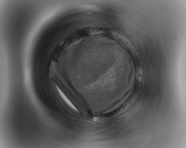 X0000095940763200802011041