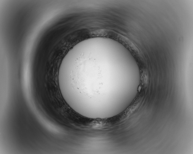 X0000095940764200802011041