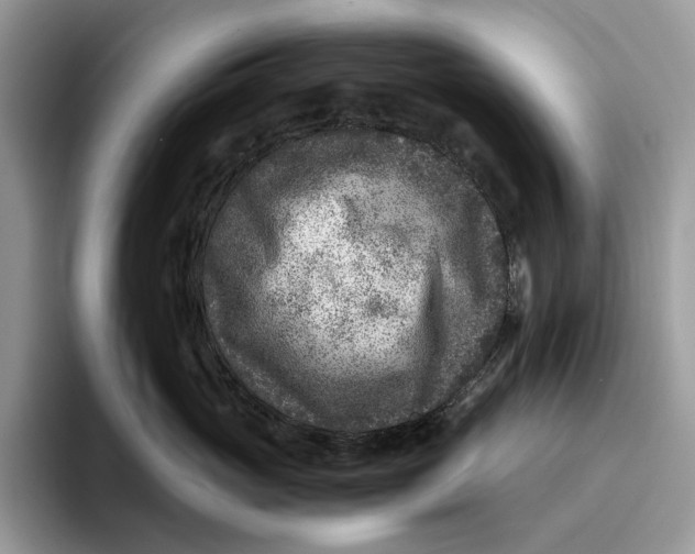 X0000095940765200802011041