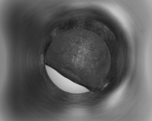 X0000095940767200802011041