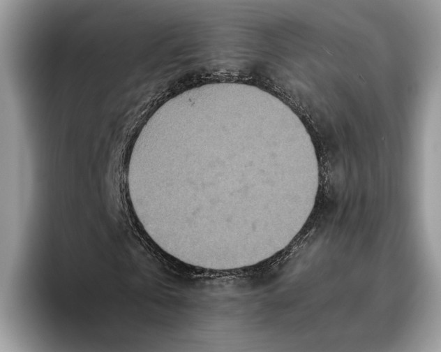 X0000095940769200802011041