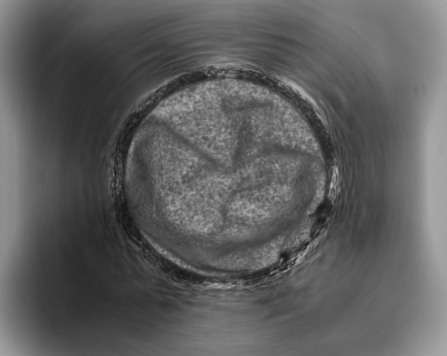 X0000095940775200802011041