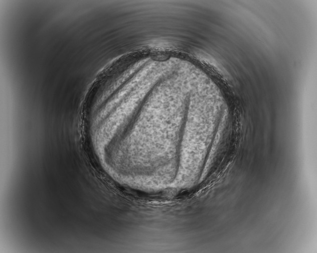 X0000095940776200802011041