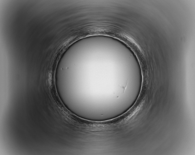 X0000095940777200802011041