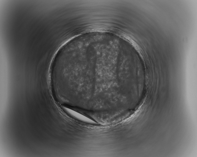 X0000095940779200802011041