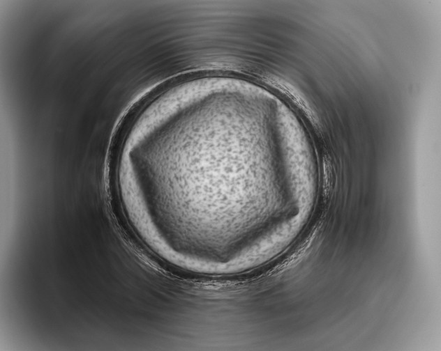 X0000095940780200802011041