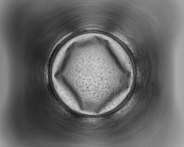 X0000095940782200802011041