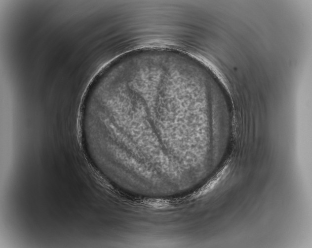 X0000095940783200802011041