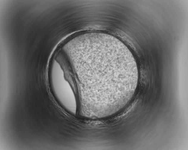 X0000095940784200802011040