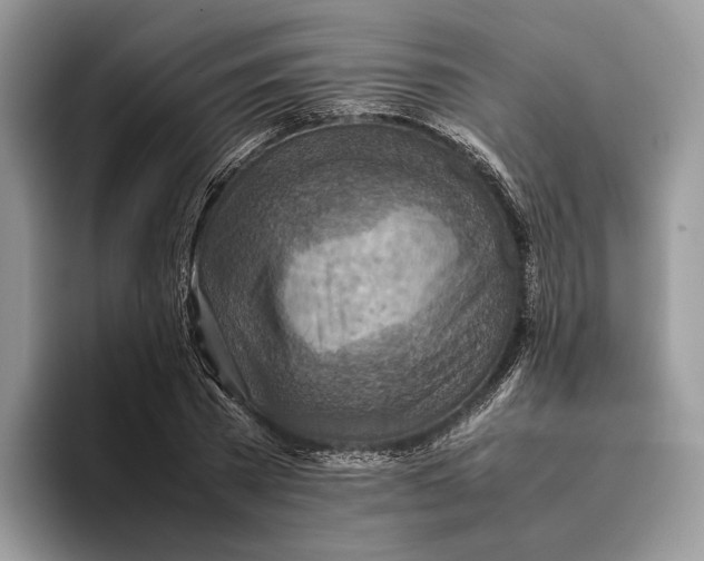 X0000095940785200802011040