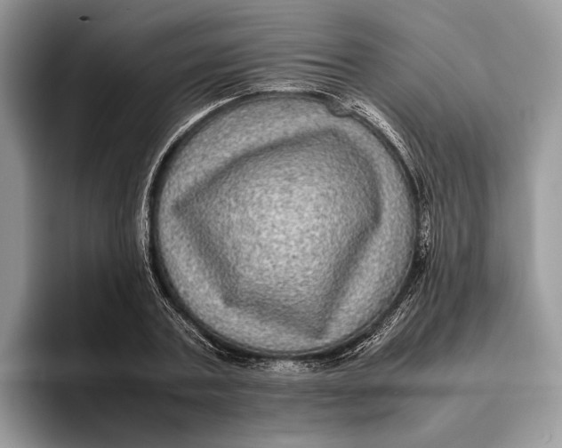 X0000095940787200802011040