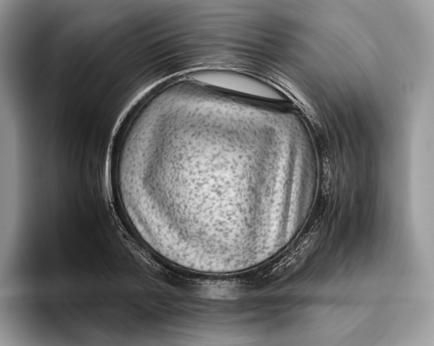 X0000095940788200802011040