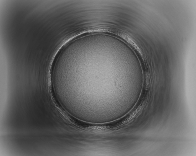 X0000095940789200802011040