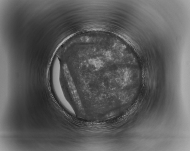 X0000095940790200802011040