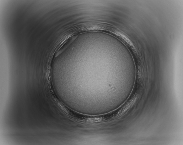 X0000095940793200802011040