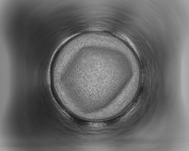 X0000095940795200802011040