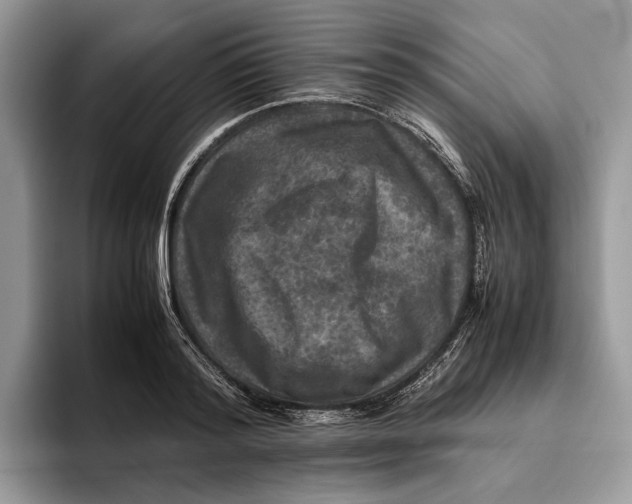 X0000095940796200802011040