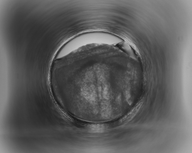 X0000095940797200802011040