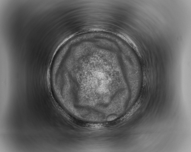 X0000095940798200802011040