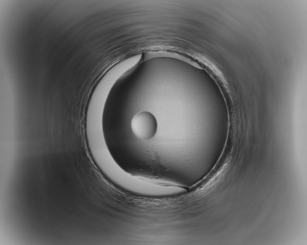 X0000095940801200802011040